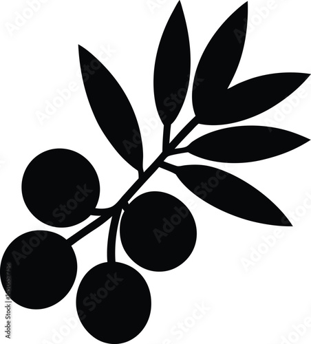 sea buckthorn berry silhouette vector icon 