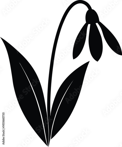 snowdrop flower silhouette vector on white 