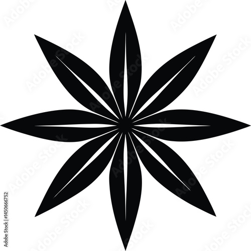 star anise silhouette vector illustration on white