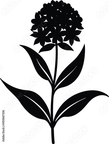 swamp milkweed flower silhouette vector on white