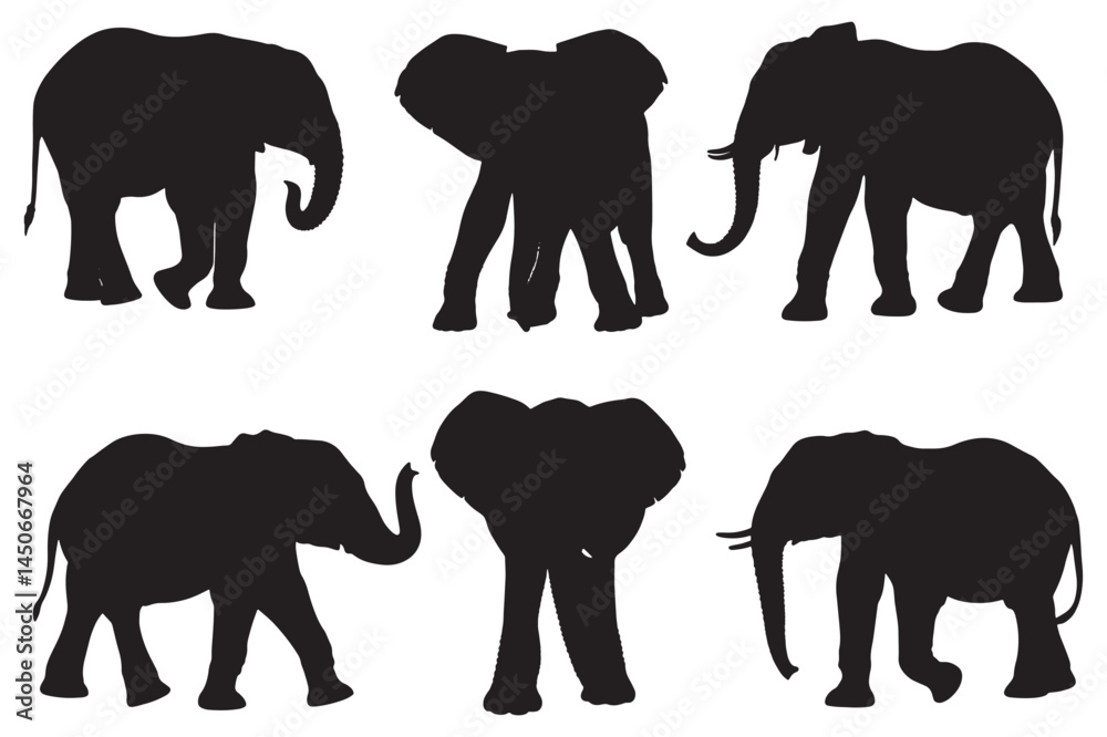 Fototapeta premium Elephant Vector Silhouette, vector illustration of a set of elephant silhouette