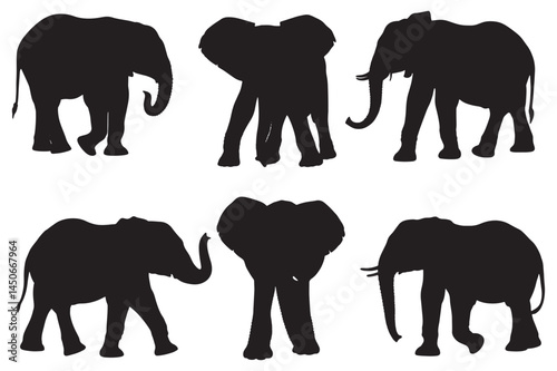 Elephant Vector Silhouette, vector illustration of a set of elephant silhouette