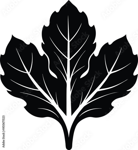 tatsoi leaf silhouette vector on white background 