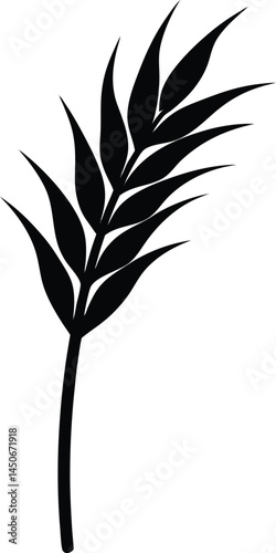 teff stalk silhouette vector on white background 