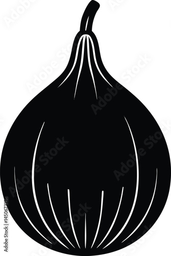 tinda squash silhouette vector on white background 