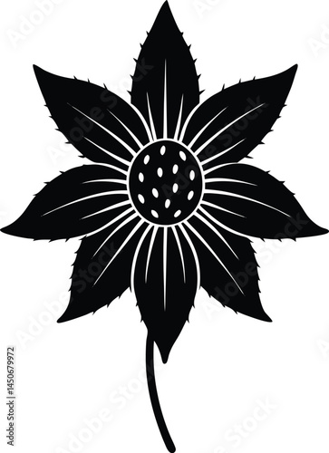 wild cucumber flower silhouette vector on white 