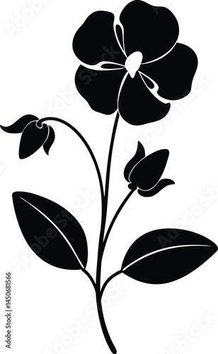 wild sweet pea flower silhouette vector on white 