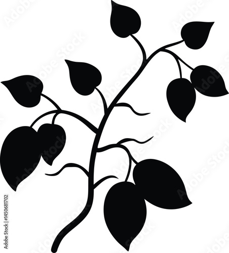 wild yam vine silhouette vector on white 