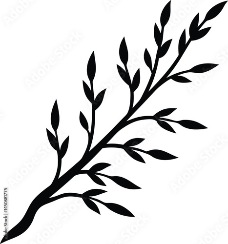willow branch silhouette vector on white 