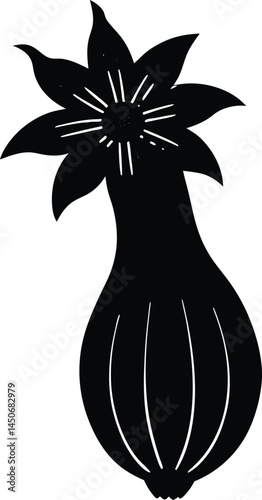 zucchini flower silhouette vector on white 