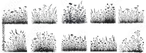 Serene Meadow Landscape – Delicate Hand-Drawn Lines meadow wildflower linework sketch hand drawn pen grass drawing vector illustration background