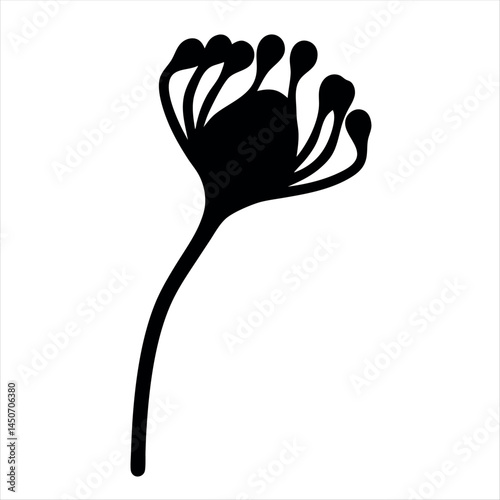 Silhouette of a unique flower with an interesting shaped bulbous blossom