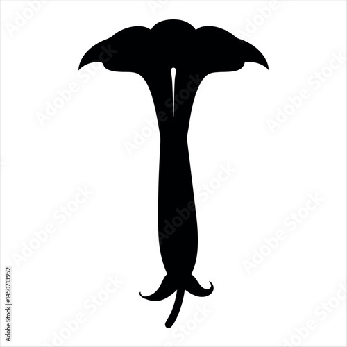 Silhouette of a Black Datura Flower Blooming on a White Background