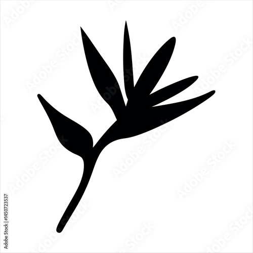 Striking silhouette of a bird of paradise flower on a white background