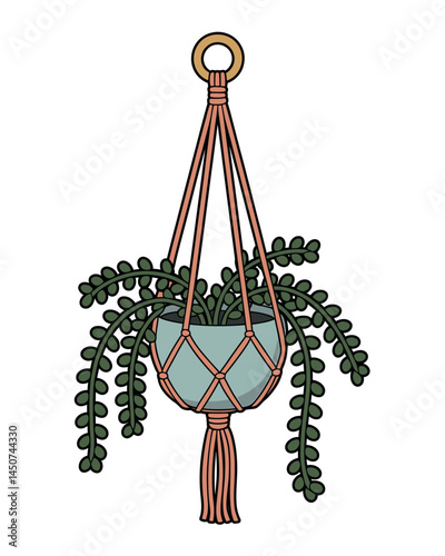 Hanging Macrame Plant Holder with Trailing Plant Illustration