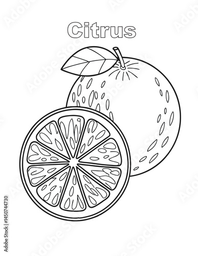 A close-up of Citrus, one of nature's most vibrant gifts.