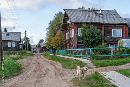 A street of an old Pomor village with a row of log houses.
