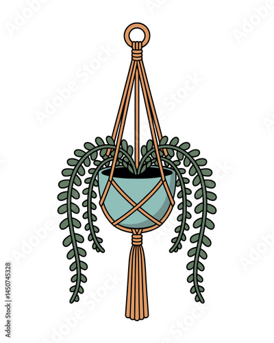 Hanging Macrame Plant Holder with Trailing Plant Illustration