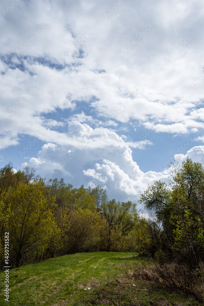Fototapeta premium A tranquil and serene landscape showcasing vibrant green grass sprawling beneath a breathtakingly beautiful, cloudy sky, perfectly capturing the stunning splendor of nature in this peaceful moment