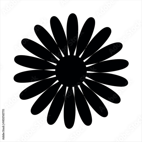 Black and white daisy flower with many petals isolated on white background