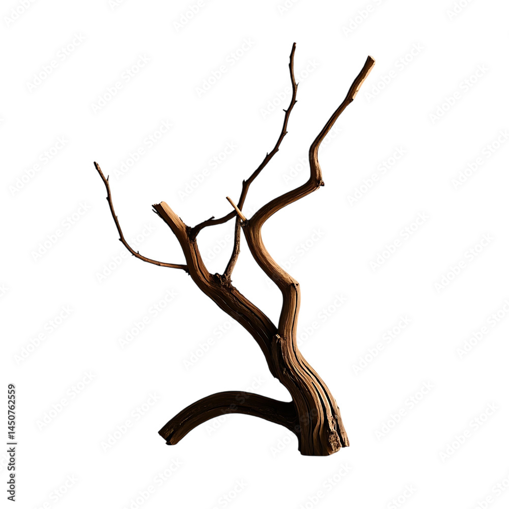 Fototapeta premium Weathered wooden branches 
