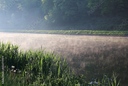 Water evaporation above the canal on a sunny morning.
Kempen canal Herentals-Bocholt at sunrise. 