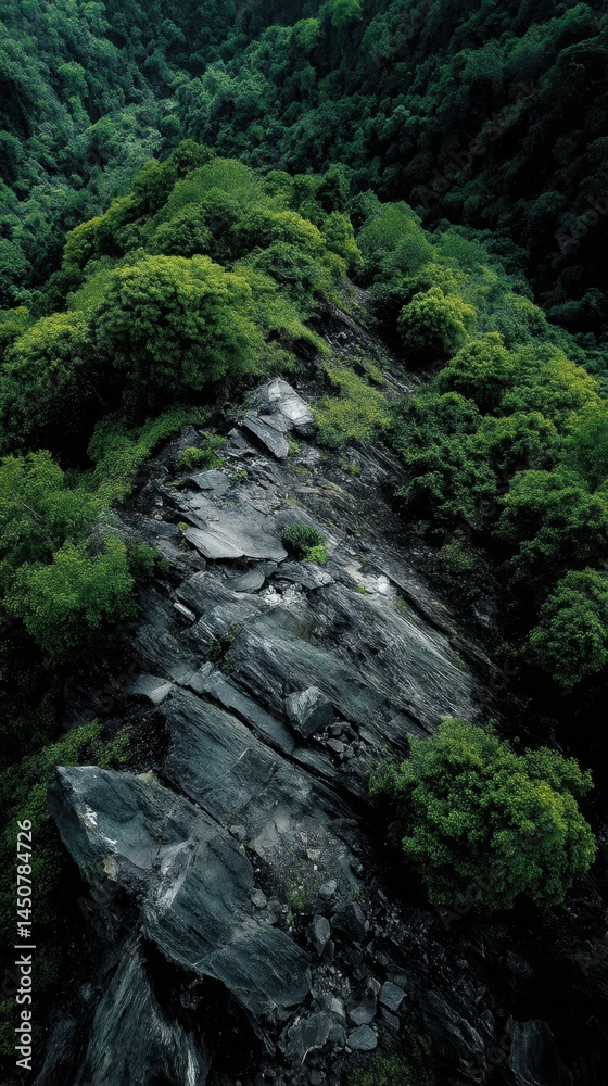 Majestic aerial view of a rugged rock face amidst lush green forest foliage creating a serene nature scene highlighting texture and depth Majestic aerial view of a rugged rock face amidst lush green forest foliage creating a serene nature scene highlighting texture and depth