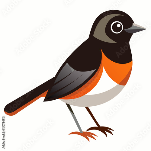 Minimal Pied Bushchat Vector on White