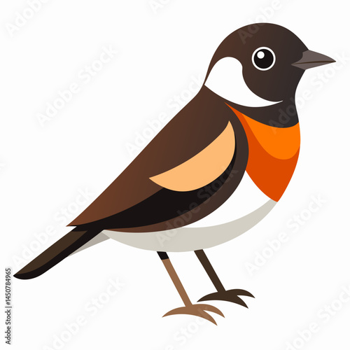 Minimal Pied Bushchat Vector on White