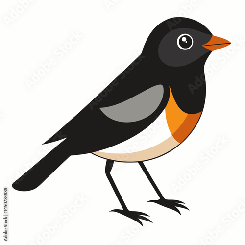 Minimal Pied Bushchat Vector on White
