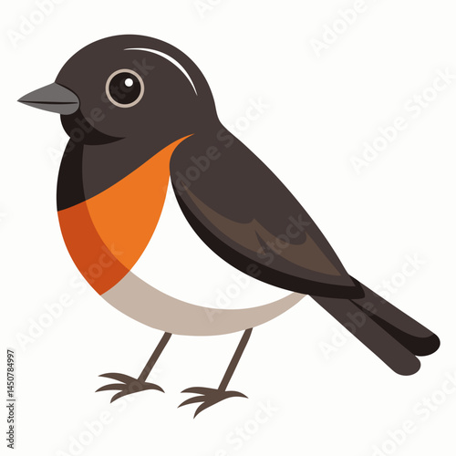 Minimal Pied Bushchat Vector on White