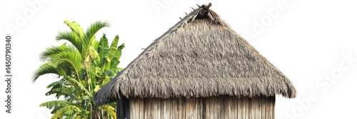 Rustic thatch hut nestled amongst tropical palm trees, idyllic getaways photo