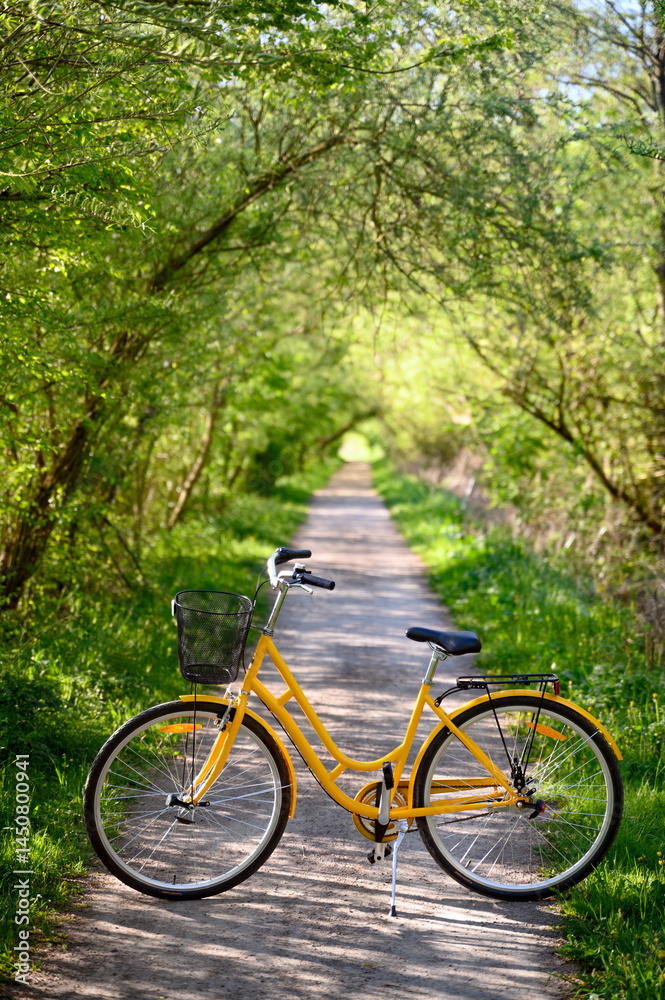 Yellow bicycle in green alley. Perspective. Spring, summer nature Lund Sweden Yellow bicycle in green alley. Perspective. Spring, summer nature Lund Sweden
