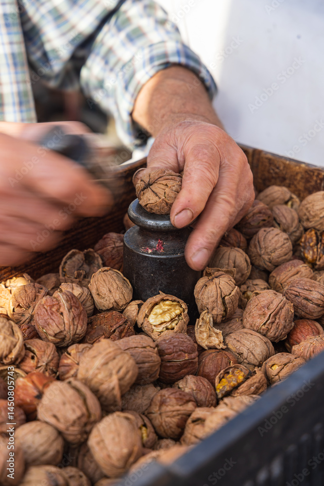 Man cracking walnuts at an outdoor market.