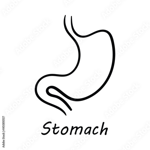 Vector Icon for Stomach: Human Digestive System and Stomach Health Illustration
