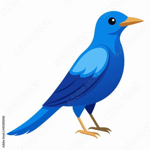 Blue Rock Thrush Vector on White