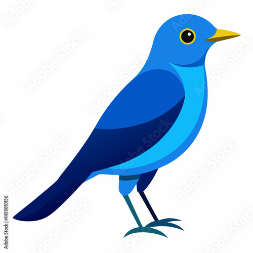 Blue Rock Thrush Vector on White