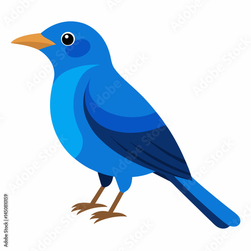 Blue Rock Thrush Vector on White