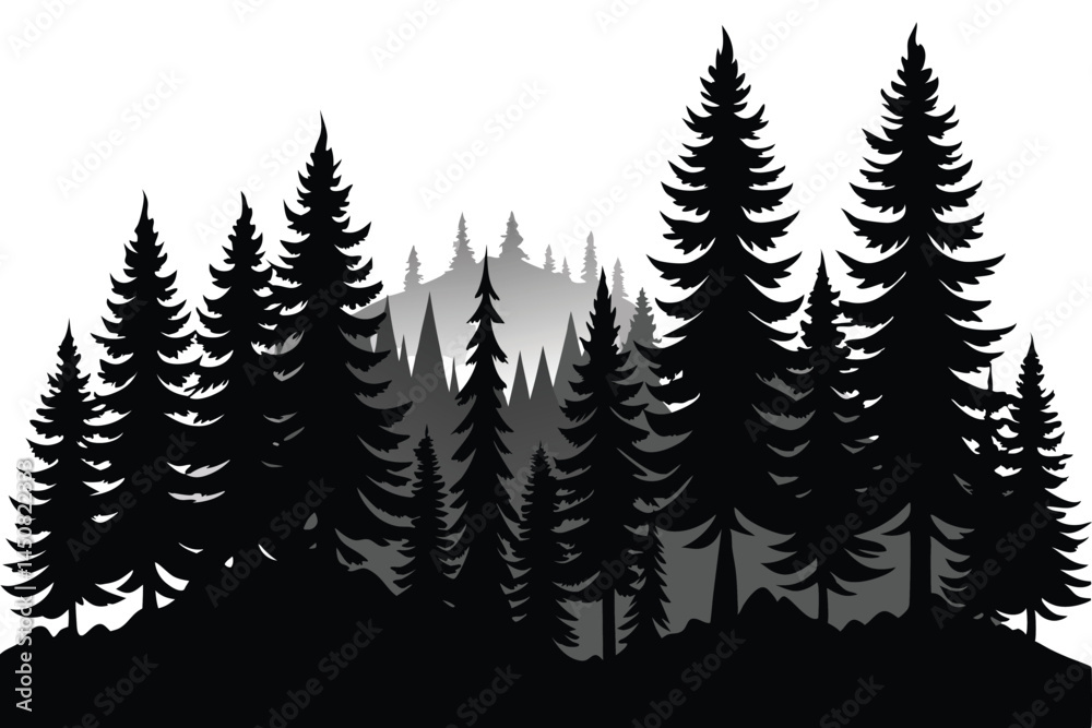 Coniferous forest silhouette shows evergreen trees fading into background mist, all displayed on transparent backdrop