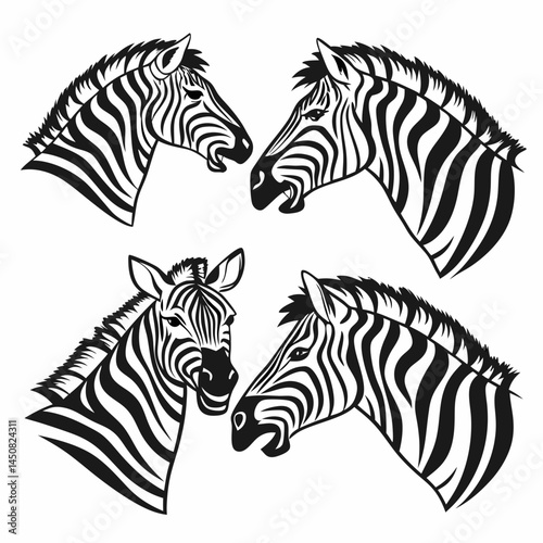 zebra vector illustration