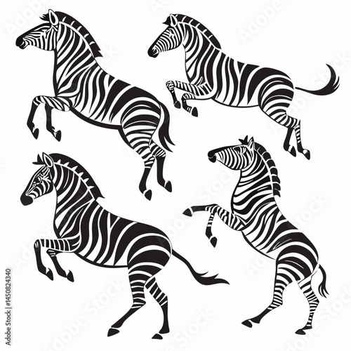 zebra vector illustration