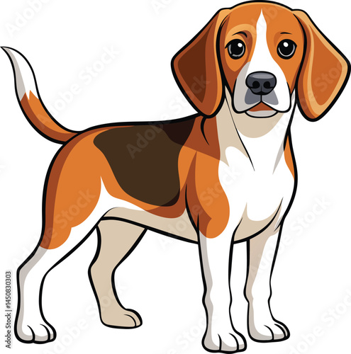 Beagle vector 