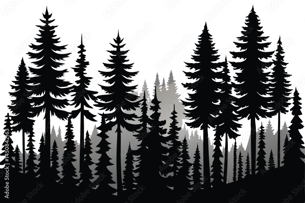 Obraz premium Silhouette of dense evergreen forest with varying shades gives it three dimensional depth effect