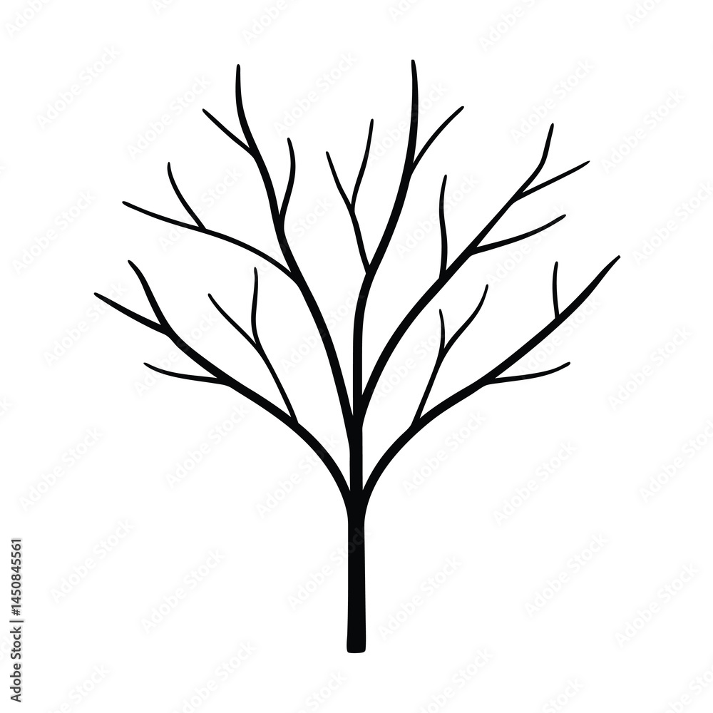 Fototapeta premium Natural Tree Branch Design in Vector