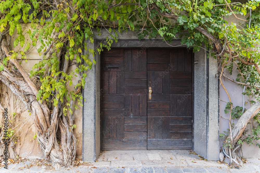 Ivy growing over a wooden door.