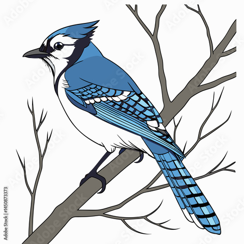 A vibrant Blue Jay perched on a branch, showcasing its striking blue and white plumage against a soft, blurred background.