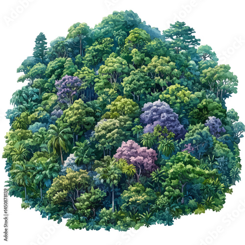 illustration of Dense Jungle With Various Tropical Trees, watercolor vector, isolated on a white background.