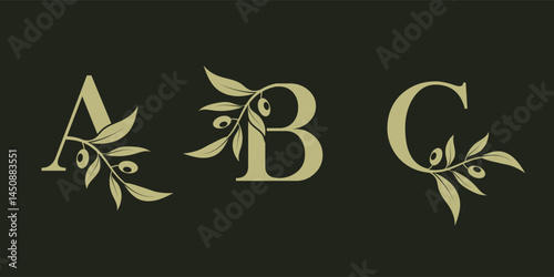 Set of vector logo designs for A B and C with olive leaves