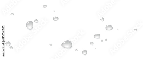 Wallpaper Mural Realistic vector water drops png on a transparent light background. Water condensation on the surface with light reflection and realistic shadow. 3d vector illustration Torontodigital.ca