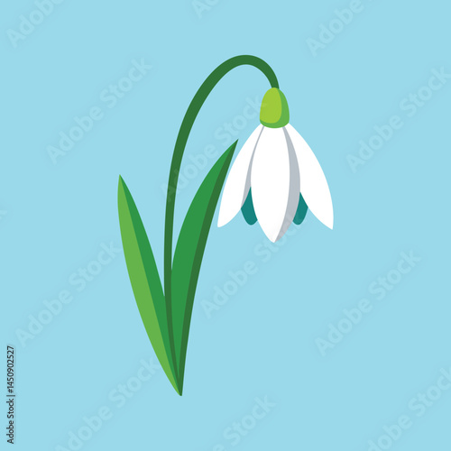 Stylized Snowdrop Illustration on Light Blue Background, flat vector design element
